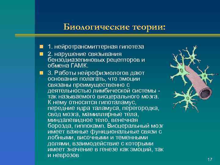 Биологические теории: n 1. нейротрансмиттерная гипотеза n 2. нарушение связывания бензодиазепиновых рецепторов и обмена