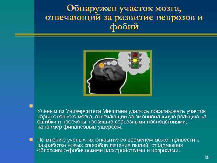 Обнаружен участок мозга, отвечающий за развитие неврозов и фобий n Ученым из Университета Мичигана