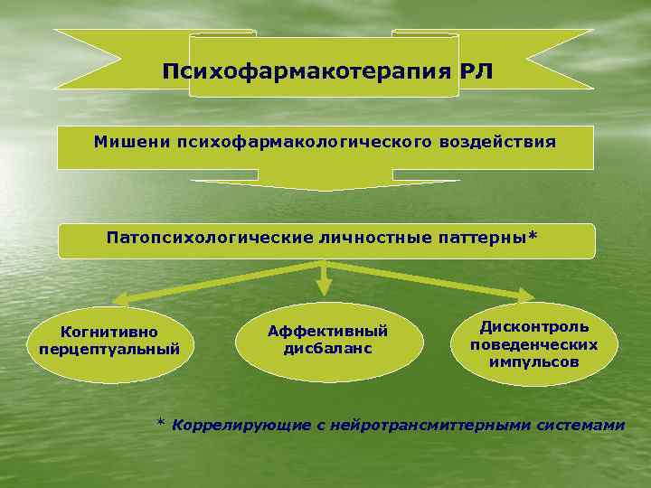 Психофармакотерапия РЛ Мишени психофармакологического воздействия Патопсихологические личностные паттерны* Когнитивно перцептуальный Аффективный дисбаланс Дисконтроль поведенческих