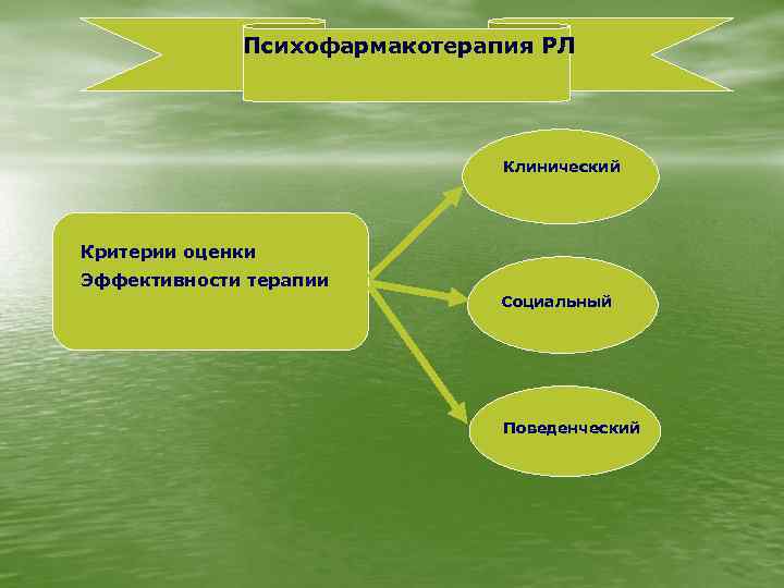 Психофармакотерапия РЛ Клинический Критерии оценки Эффективности терапии Социальный Поведенческий 