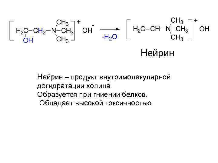 Нейрин – продукт внутримолекулярной дегидратации холина. Образуется при гниении белков. Обладает высокой токсичностью. 