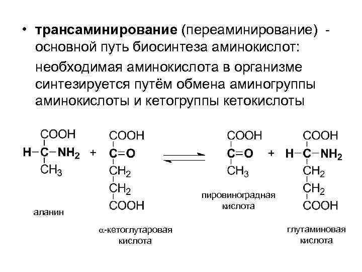  • трансаминирование (переаминирование) основной путь биосинтеза аминокислот: необходимая аминокислота в организме синтезируется путём