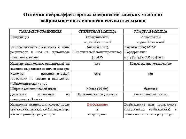 Отличия нейроэффекторных соединений гладких мышц от нейромышечных синапсов скелетных мышц ПАРАМЕТР СРАВНЕНИЯ СКЕЛЕТНАЯ МЫШЦА