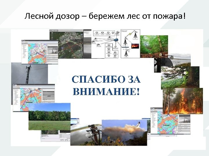 Лесной дозор. Спасибо за внимание Лесной пожар. Спасибо за внимание берегите лес. Спасибо за внимание для презентации Лесной пожар.