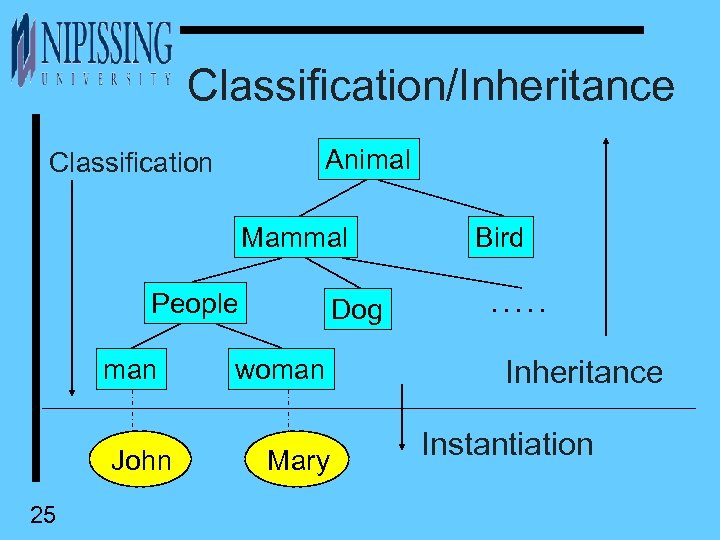 Classification/Inheritance Animal Classification Mammal People man John 25 Dog woman Mary Bird. . .