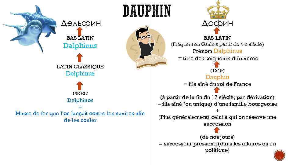 Дельфин Дофин BAS LATIN Dalphinus (Fréquent en Gaule à partir de 4 -e siècle)