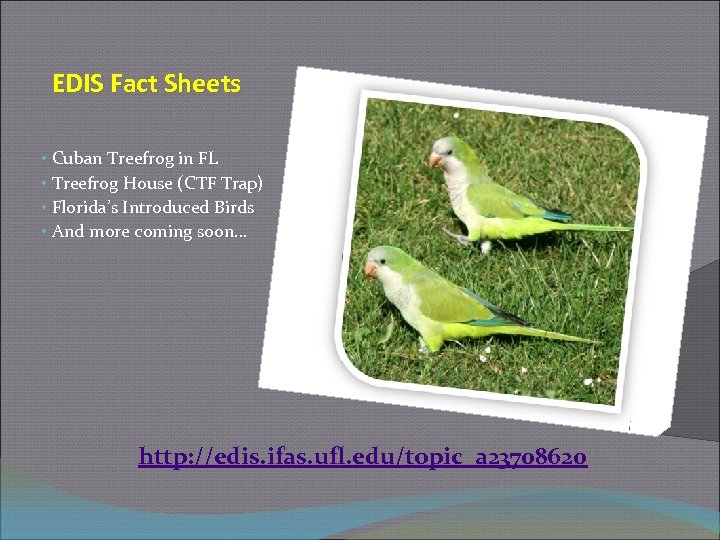 EDIS Fact Sheets • Cuban Treefrog in FL • Treefrog House (CTF Trap) •