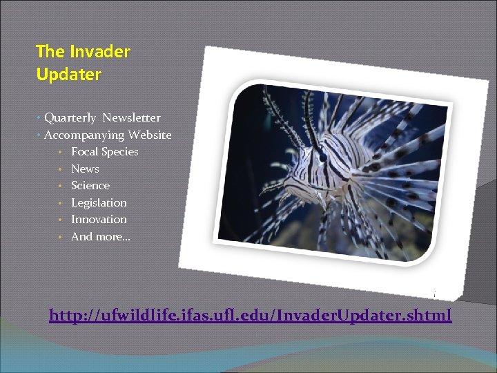 The Invader Updater • Quarterly Newsletter • Accompanying Website • Focal Species • News