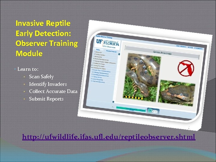 Invasive Reptile Early Detection: Observer Training Module • Learn to: • Scan Safely •