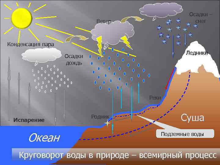 Осадки – снег Ветер Конденсация пара Ледники Осадки дождь Реки Испарение Океан Родник Суша