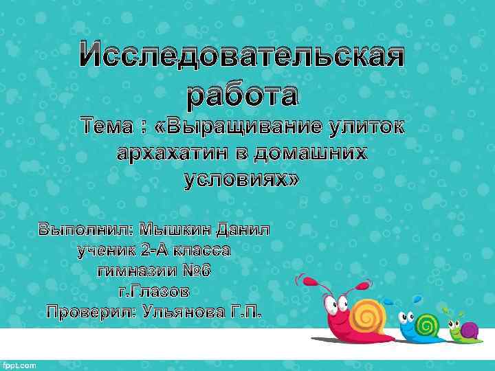 Исследовательская работа Тема : «Выращивание улиток архахатин в домашних условиях» Выполнил: Мышкин Данил ученик