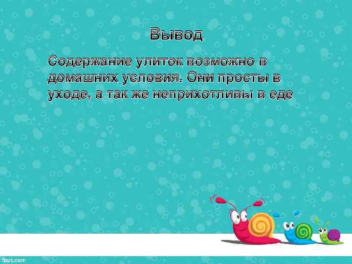 Вывод Содержание улиток возможно в домашних условия. Они просты в уходе, а так же