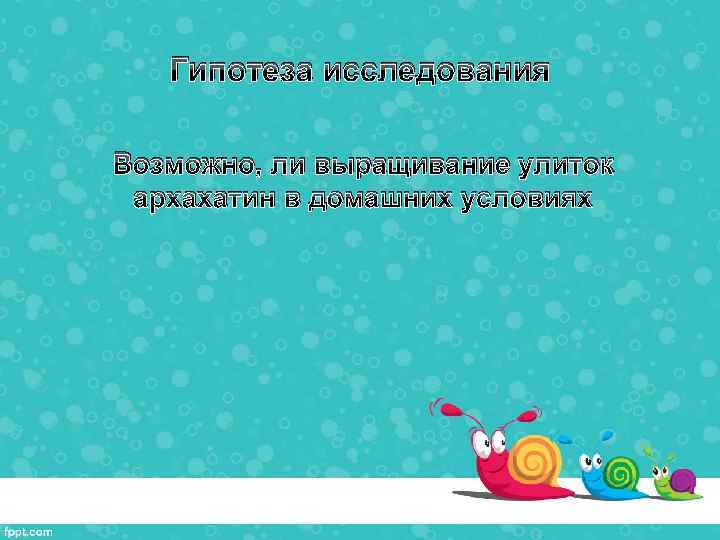 Гипотеза исследования Возможно, ли выращивание улиток архахатин в домашних условиях 