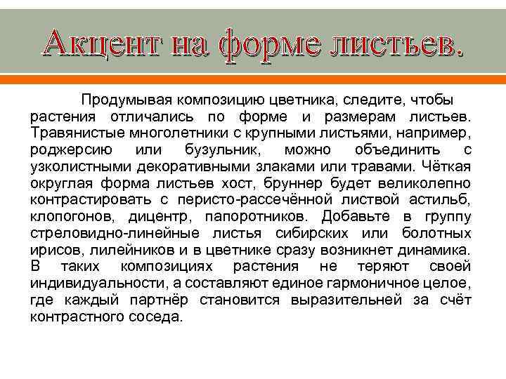 Акцент на форме листьев. Продумывая композицию цветника, следите, чтобы растения отличались по форме и