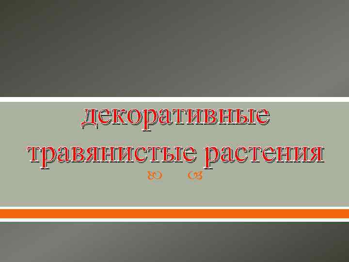 декоративные травянистые растения 