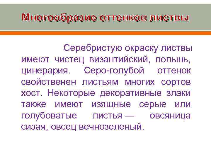 Многообразие оттенков листвы Серебристую окраску листвы имеют чистец византийский, полынь, цинерария. Серо-голубой оттенок свойственен