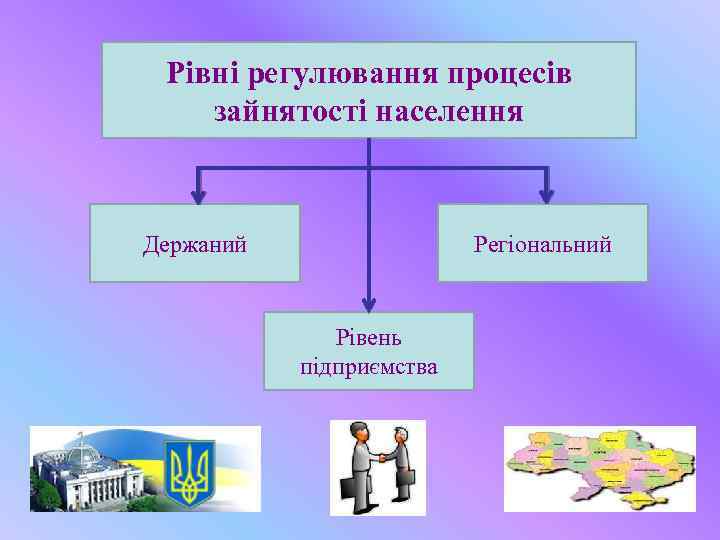 Рівні регулювання процесів зайнятості населення Держаний Регіональний Рівень підприємства 