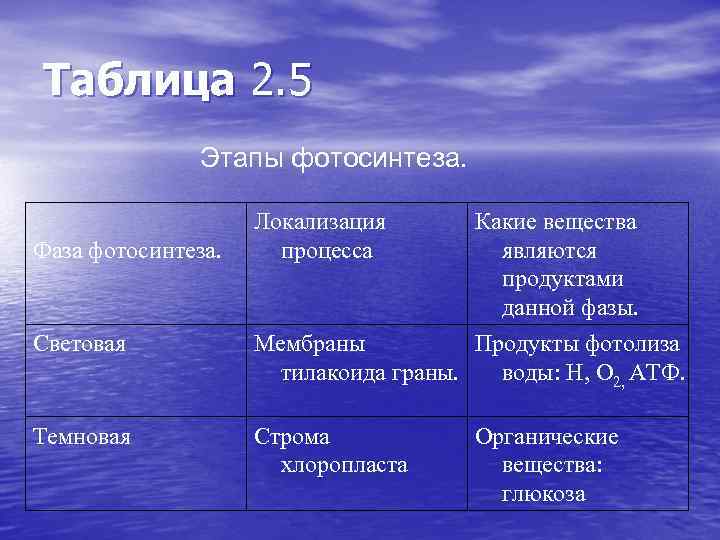 Таблица 2. 5 Этапы фотосинтеза. Фаза фотосинтеза. Локализация процесса Какие вещества являются продуктами данной