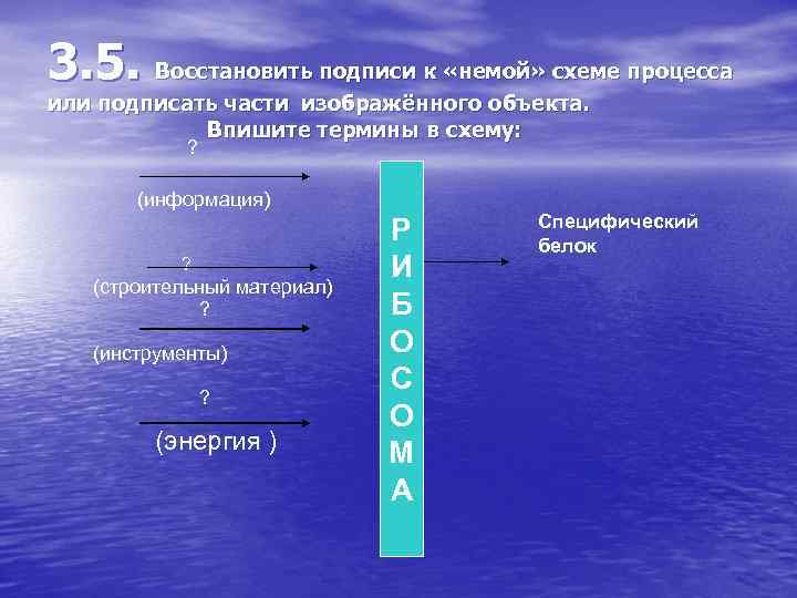 3. 5. Восстановить подписи к «немой» схеме процесса или подписать части изображённого объекта. Впишите