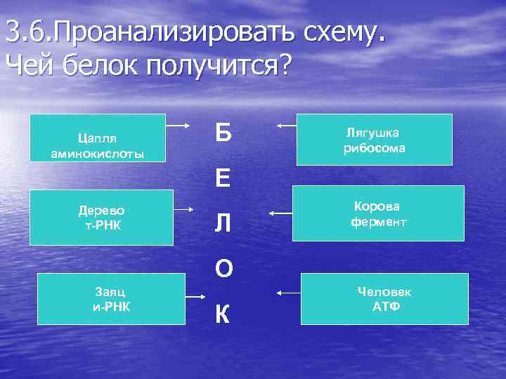 3. 6. Проанализировать схему. Чей белок получится? Цапля аминокислоты Б Лягушка рибосома Е Дерево