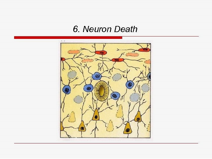 6. Neuron Death 