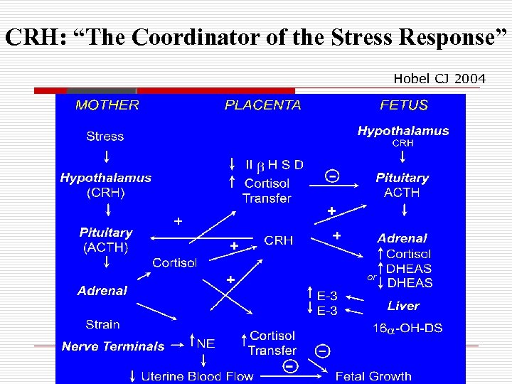 CRH: “The Coordinator of the Stress Response” Hobel CJ 2004 