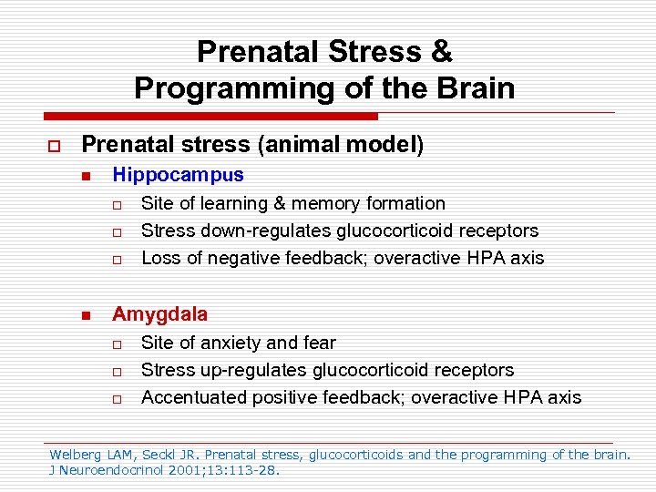 Prenatal Stress & Programming of the Brain o Prenatal stress (animal model) n Hippocampus