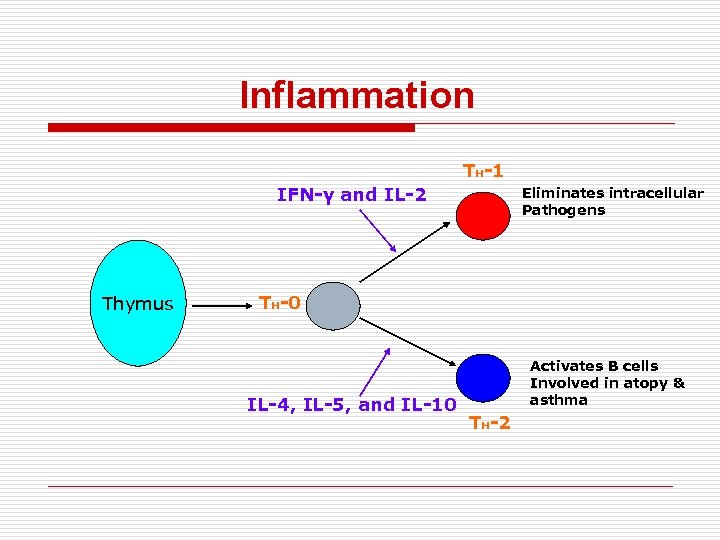 Inflammation TH-1 IFN-γ and IL-2 Thymus Eliminates intracellular Pathogens TH-0 IL-4, IL-5, and IL-10