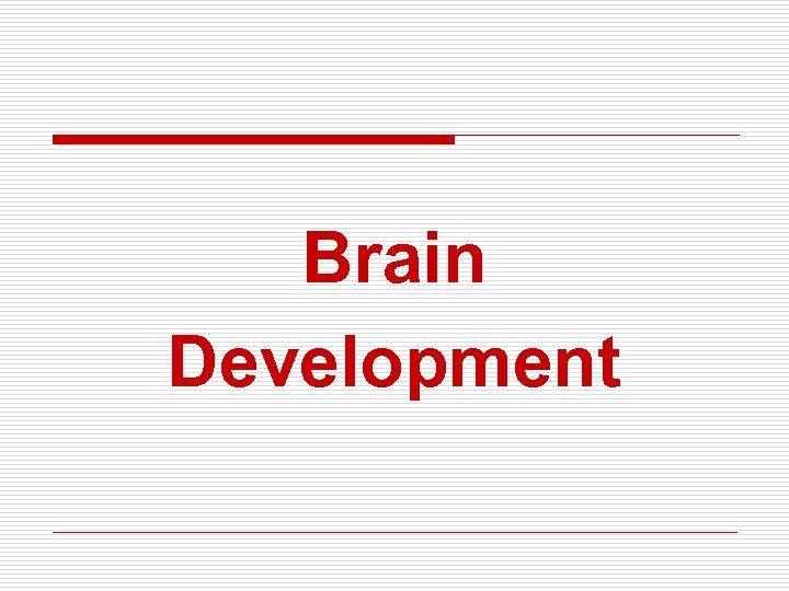 Brain Development 