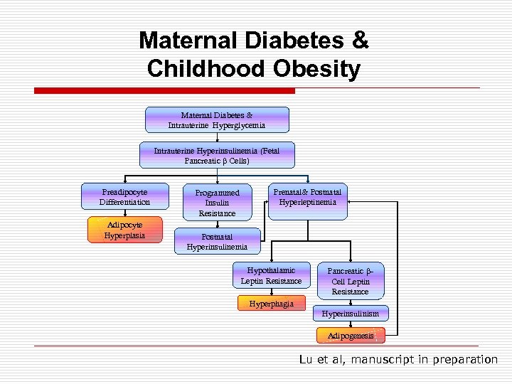 Maternal Diabetes & Childhood Obesity Maternal Diabetes & Intrauterine Hyperglycemia Intrauterine Hyperinsulinemia (Fetal Pancreatic