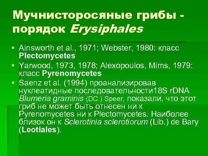 Мучнисторосяные грибы порядок Erysiphales § Ainsworth et al. , 1971; Webster, 1980: класс Plectomycetes