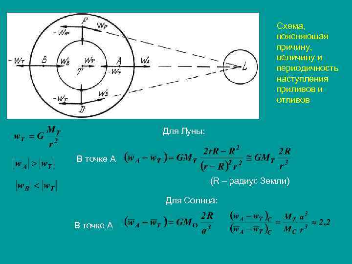 Схема, поясняющая причину, величину и периодичность наступления приливов и отливов Для Луны: В точке