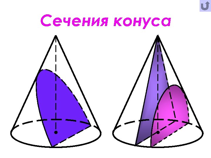 5 сечений конуса