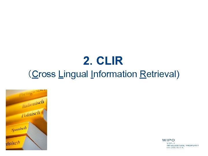 2. CLIR （Cross Lingual Information Retrieval) 