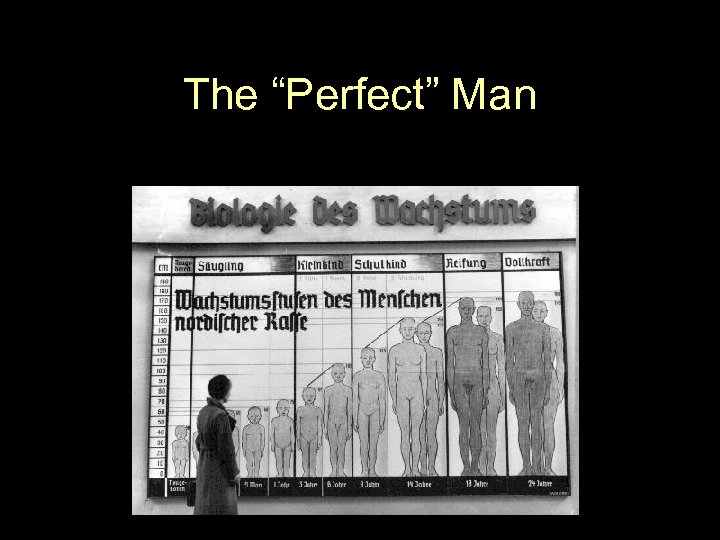The “Perfect” Man 
