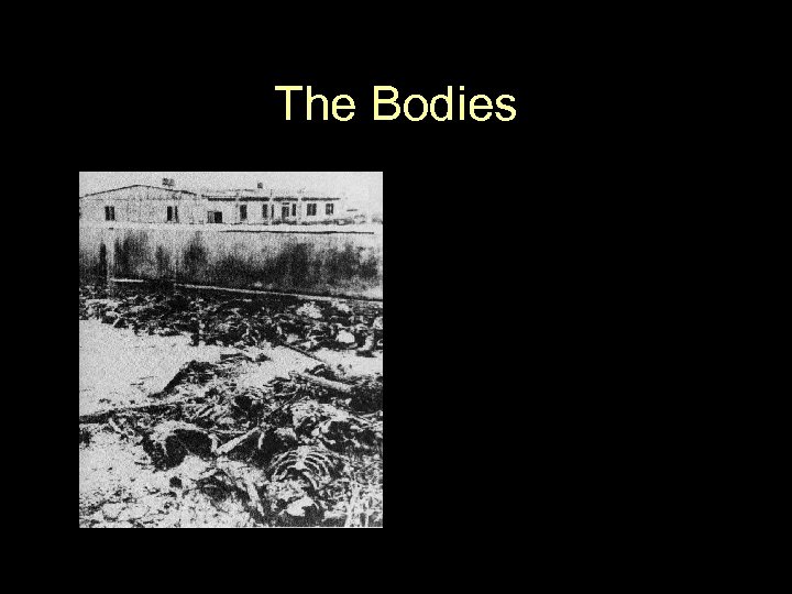 The Bodies 