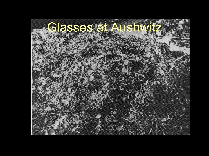 Glasses at Aushwitz 