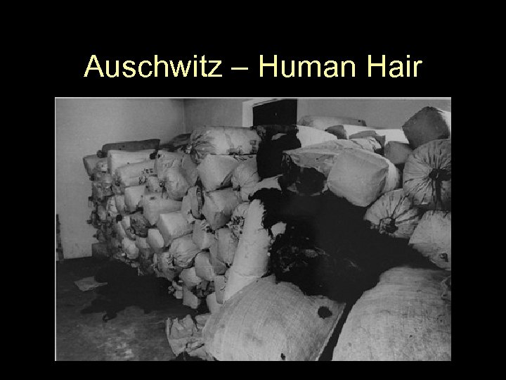 Auschwitz – Human Hair 