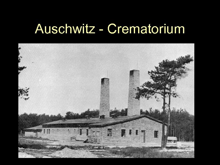 Auschwitz - Crematorium 
