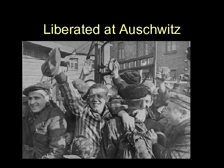 Liberated at Auschwitz 