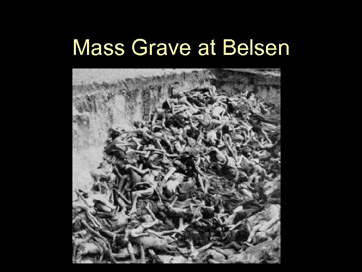Mass Grave at Belsen 