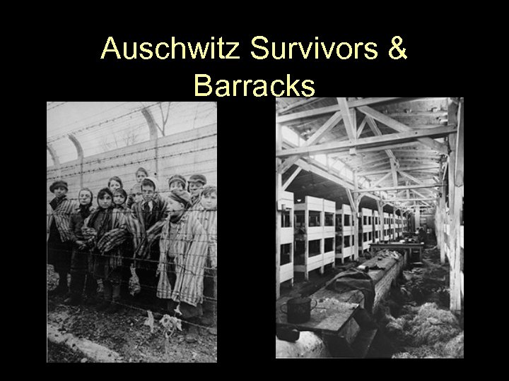 Auschwitz Survivors & Barracks 
