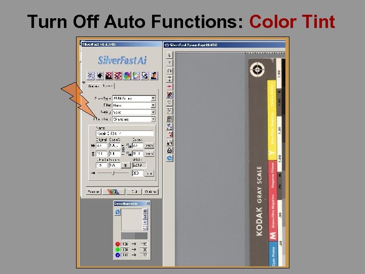 Turn Off Auto Functions: Color Tint 