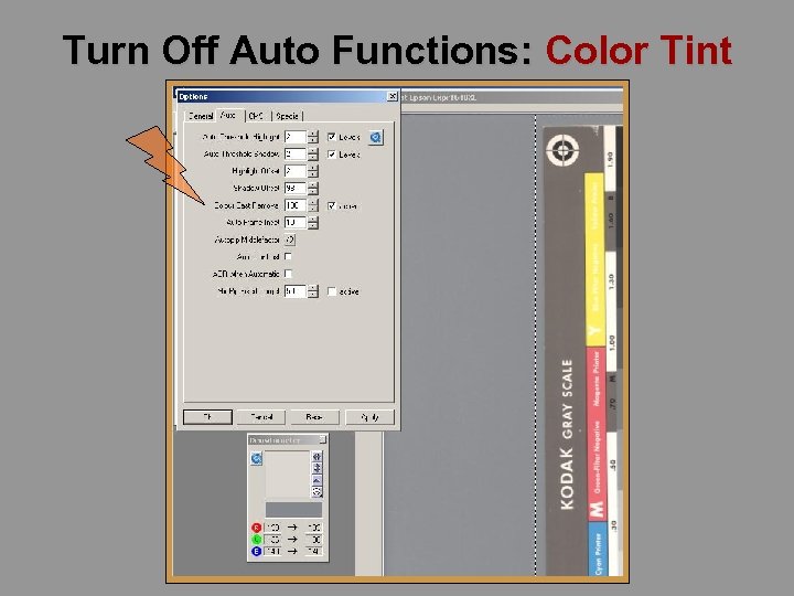 Turn Off Auto Functions: Color Tint 