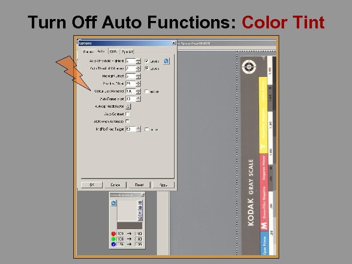 Turn Off Auto Functions: Color Tint 