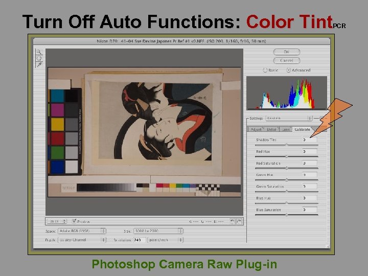 Turn Off Auto Functions: Color Tint PCR Photoshop Camera Raw Plug-in 