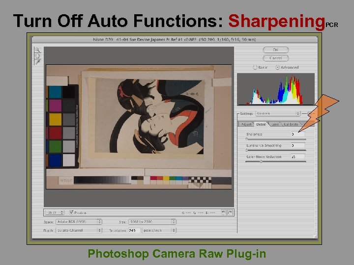 Turn Off Auto Functions: Sharpening PCR Photoshop Camera Raw Plug-in 