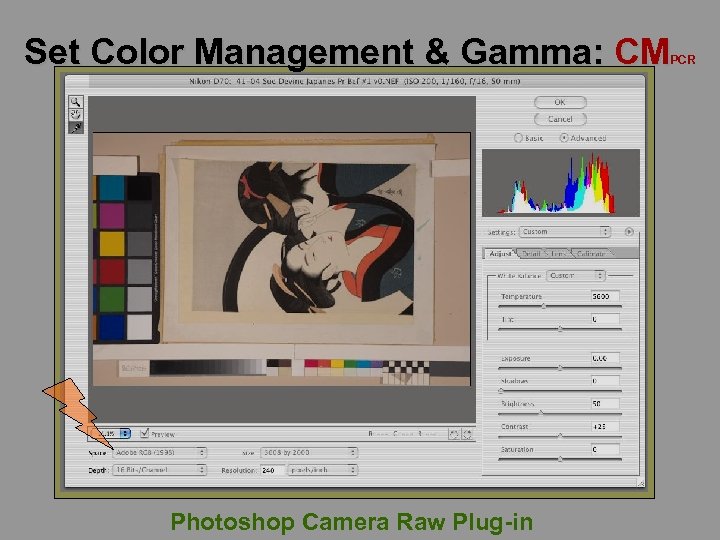 Set Color Management & Gamma: CM PCR Photoshop Camera Raw Plug-in 