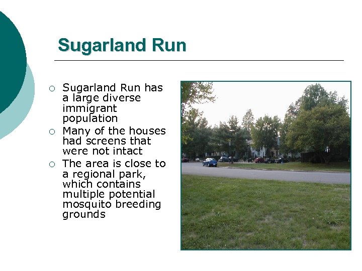 Sugarland Run ¡ ¡ ¡ Sugarland Run has a large diverse immigrant population Many