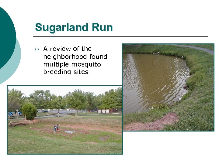 Sugarland Run ¡ A review of the neighborhood found multiple mosquito breeding sites 
